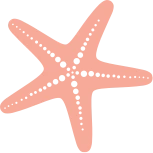 starfish image